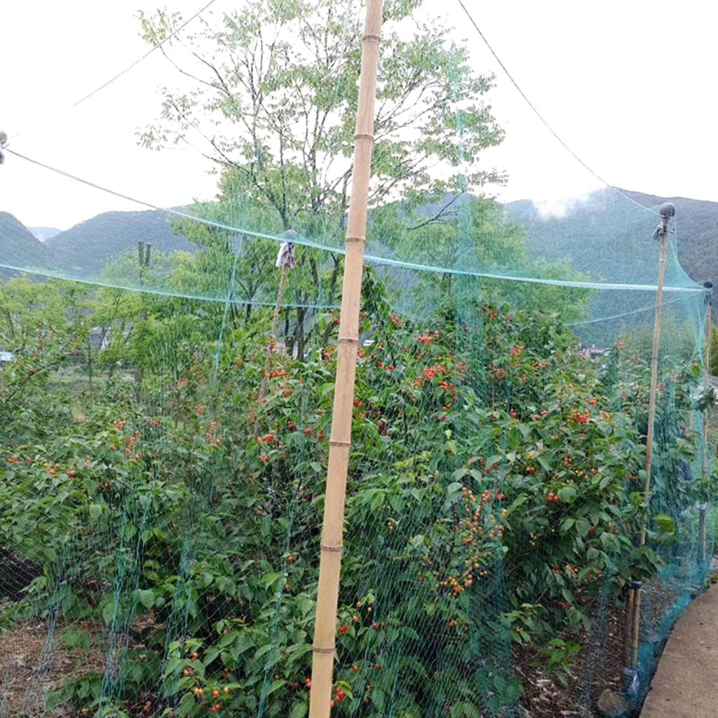 13 x 33ft Garden Netting Heavy Duty PE Anti Bird Netting Plants Fruits Tree Vegetables Protection Netting Net - MC Online
