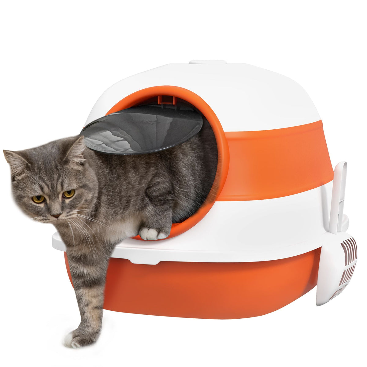 Cat Litter Box with Lid, Covered Litter Box w/High Sides, Two-Way Entrance Kitty Litter Box, Foldable, Easy Clean, White and Orange - MC Online