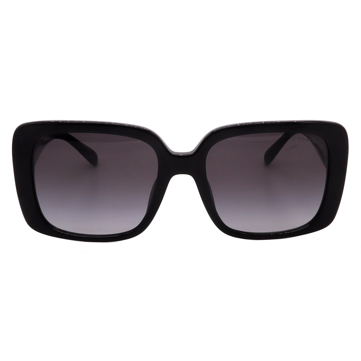 Coach Sunglasses HC8424U-50023C-54-18-140 Non-Polarized - MC Online