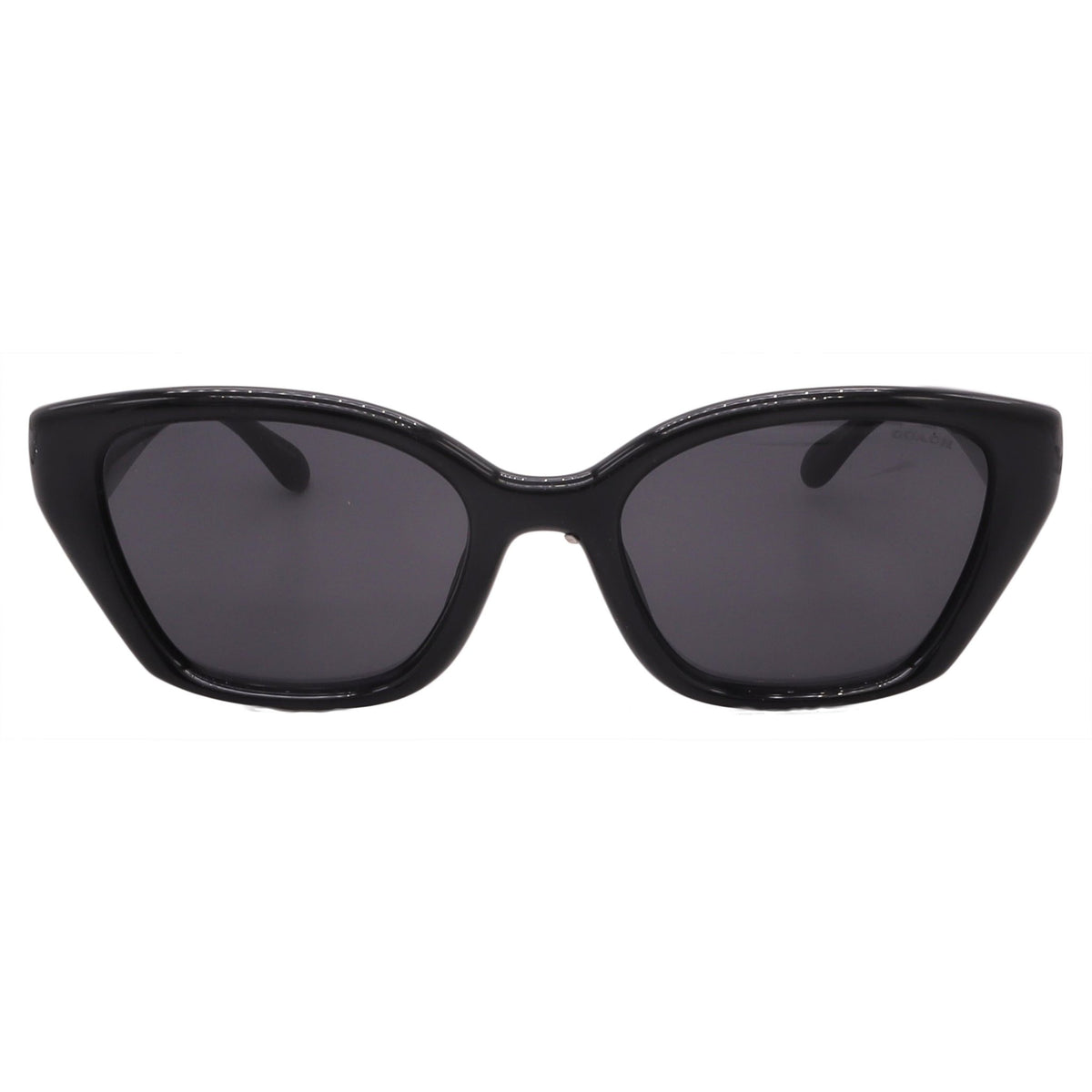 Coach Sunglasses HC8434U-500287-53-19-140 Non-Polarized - MC Online