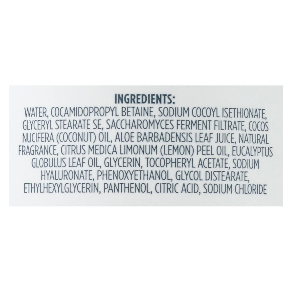 Kirk's Natural - Hand Soap Lemon Eucalyptus - 12 Fz - MC Online