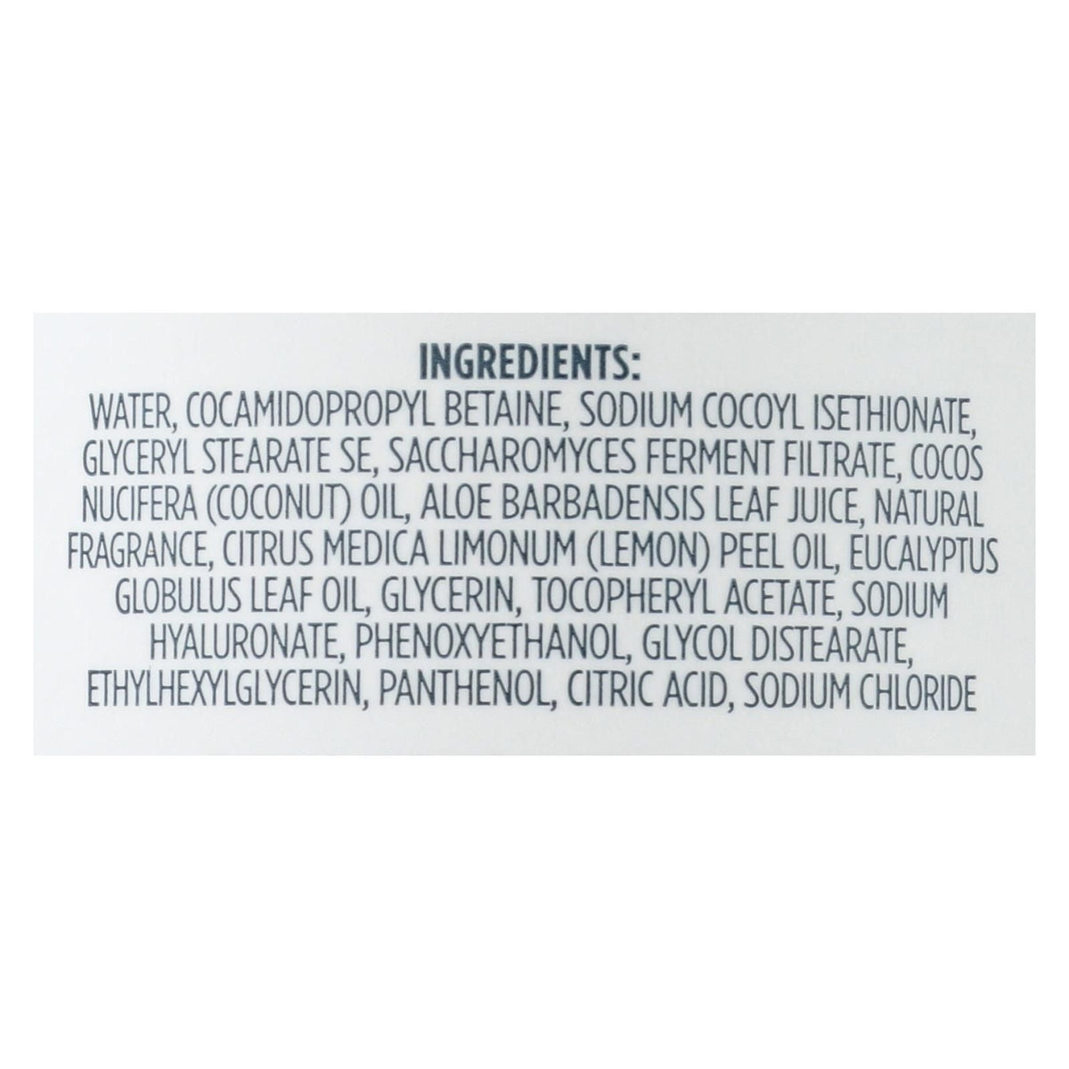 Kirk's Natural - Hand Soap Lemon Eucalyptus - 12 Fz - MC Online