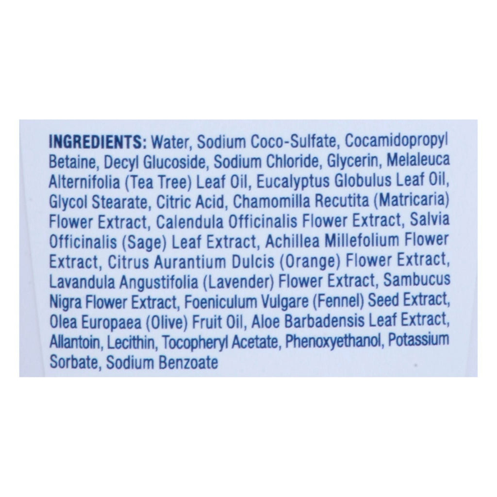 Kiss My Face - Hand Soap Tea Tree Mst - 1 Each-9 Fz - MC Online
